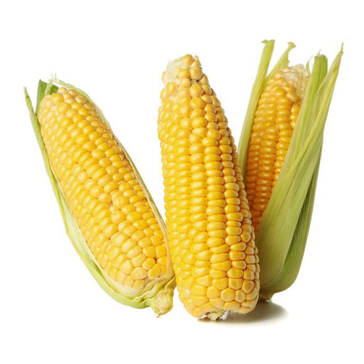 All kinds of sweet corn